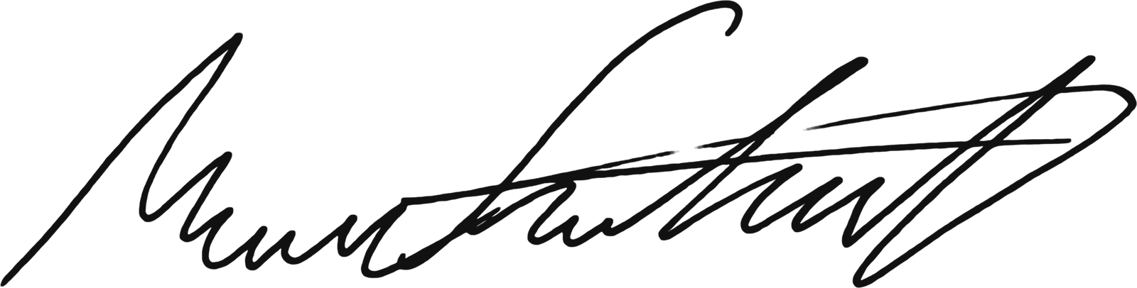 Mason Fitzgerald's signature